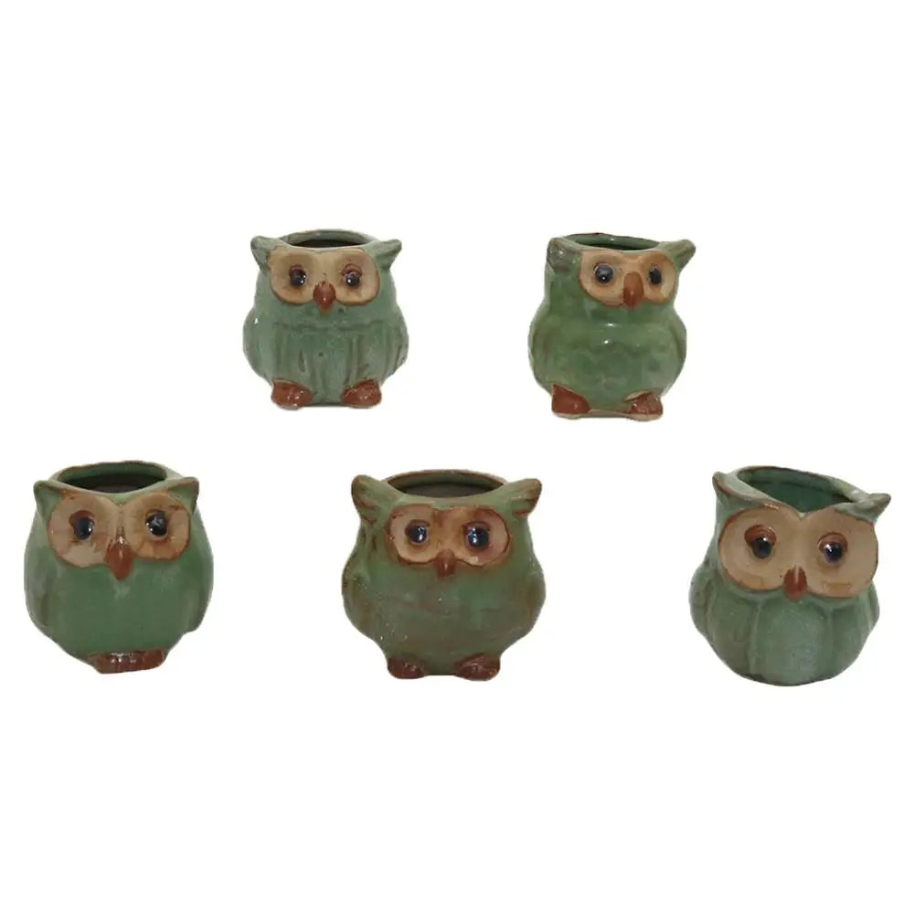 Owly Ceramic Pot