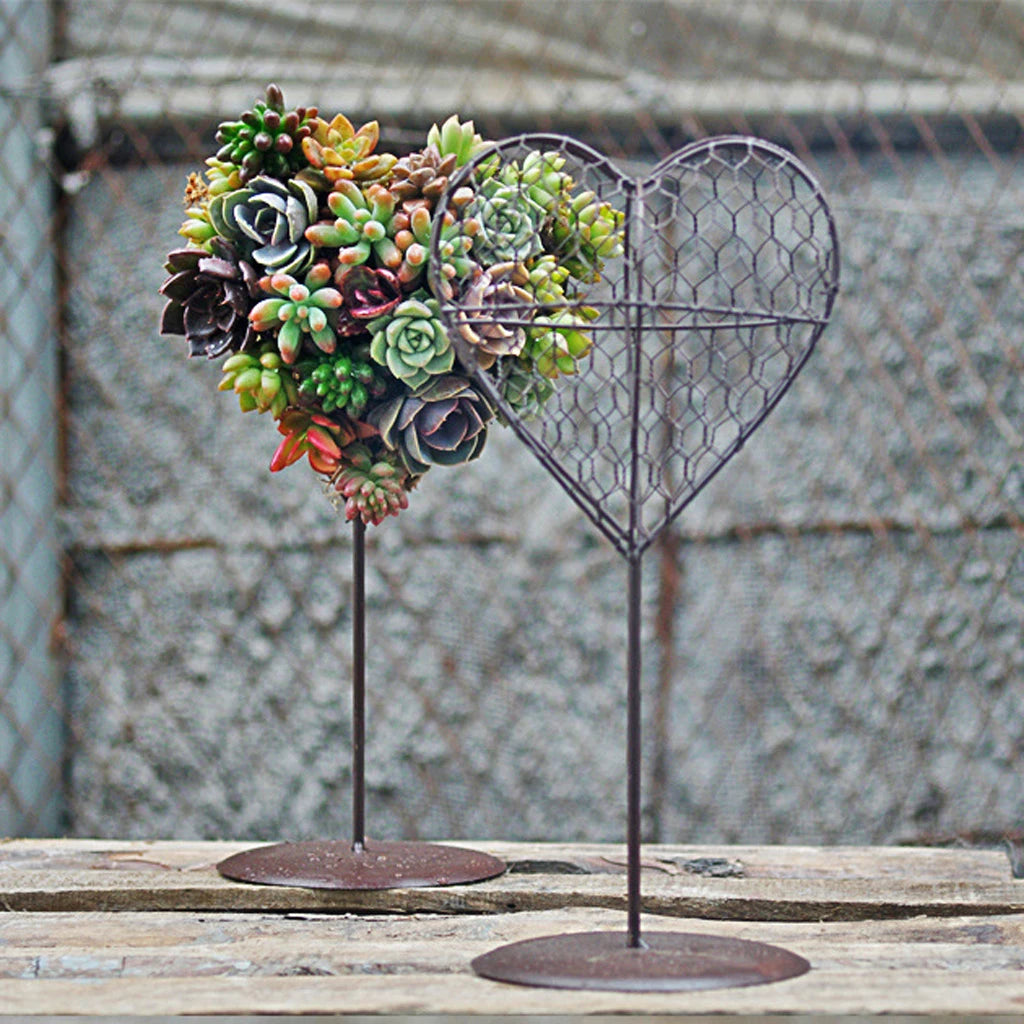 wire succulent planter Hearty Iron Wire Succulent Pot