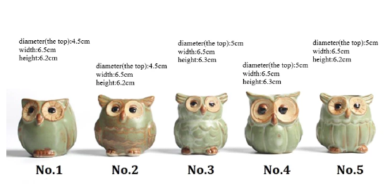 Owly Ceramic Pot
