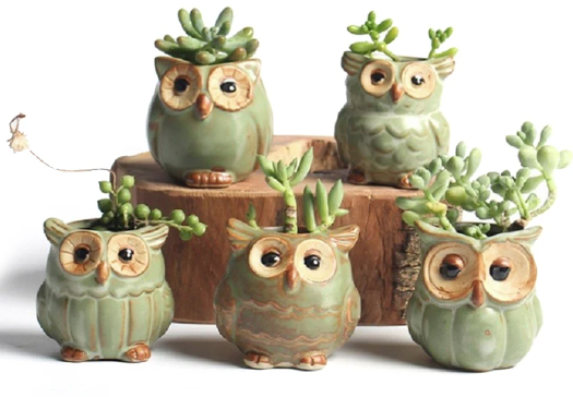 owl planter pots Owly Ceramic Pot – OZ BALCONY SUCCULENT