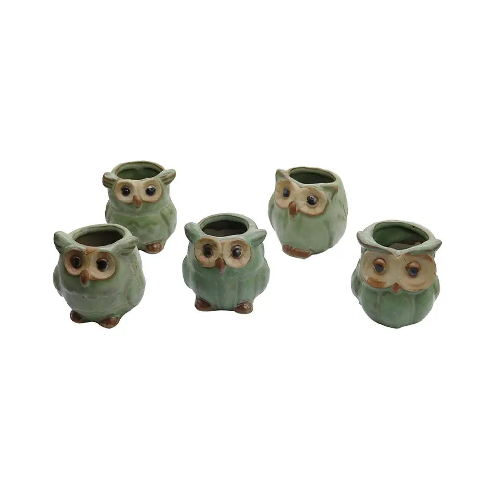 Owly Ceramic Pot