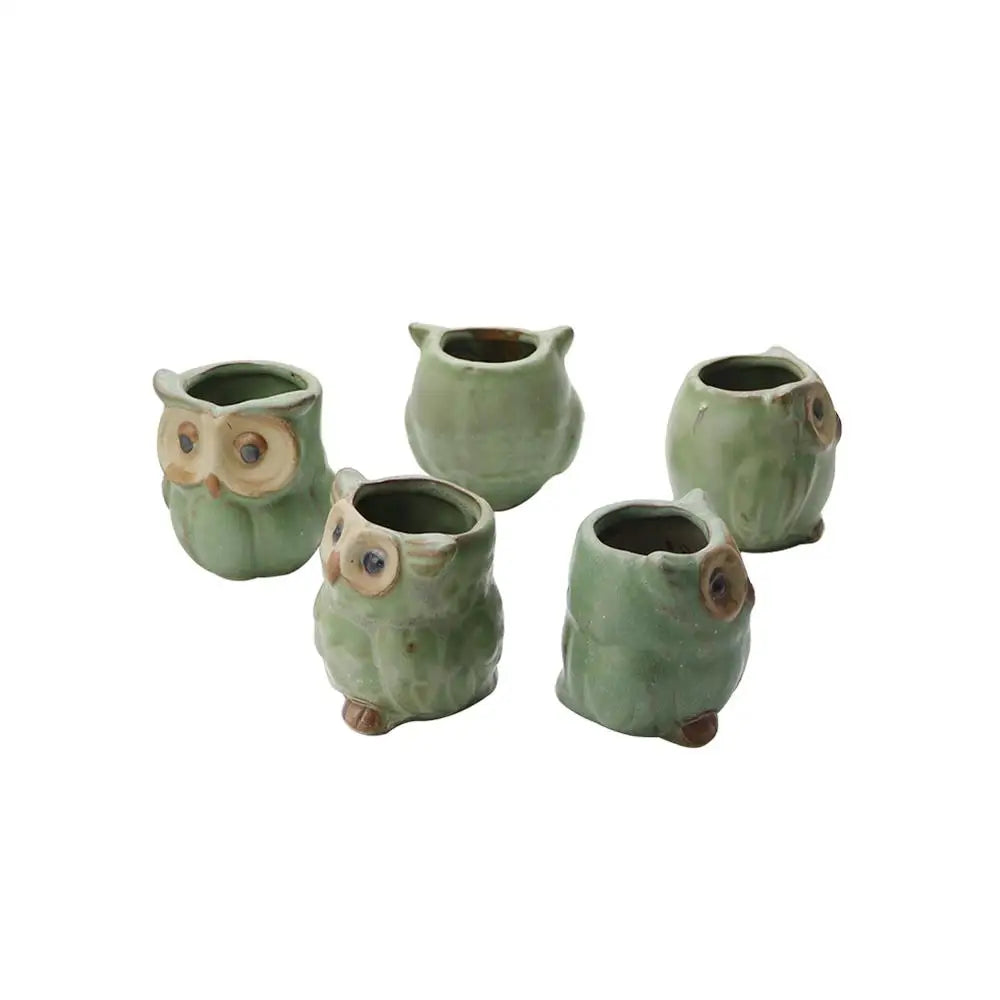 Owly Ceramic Pot