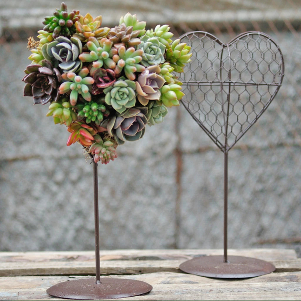 Hearty Iron Wire Succulent Pot