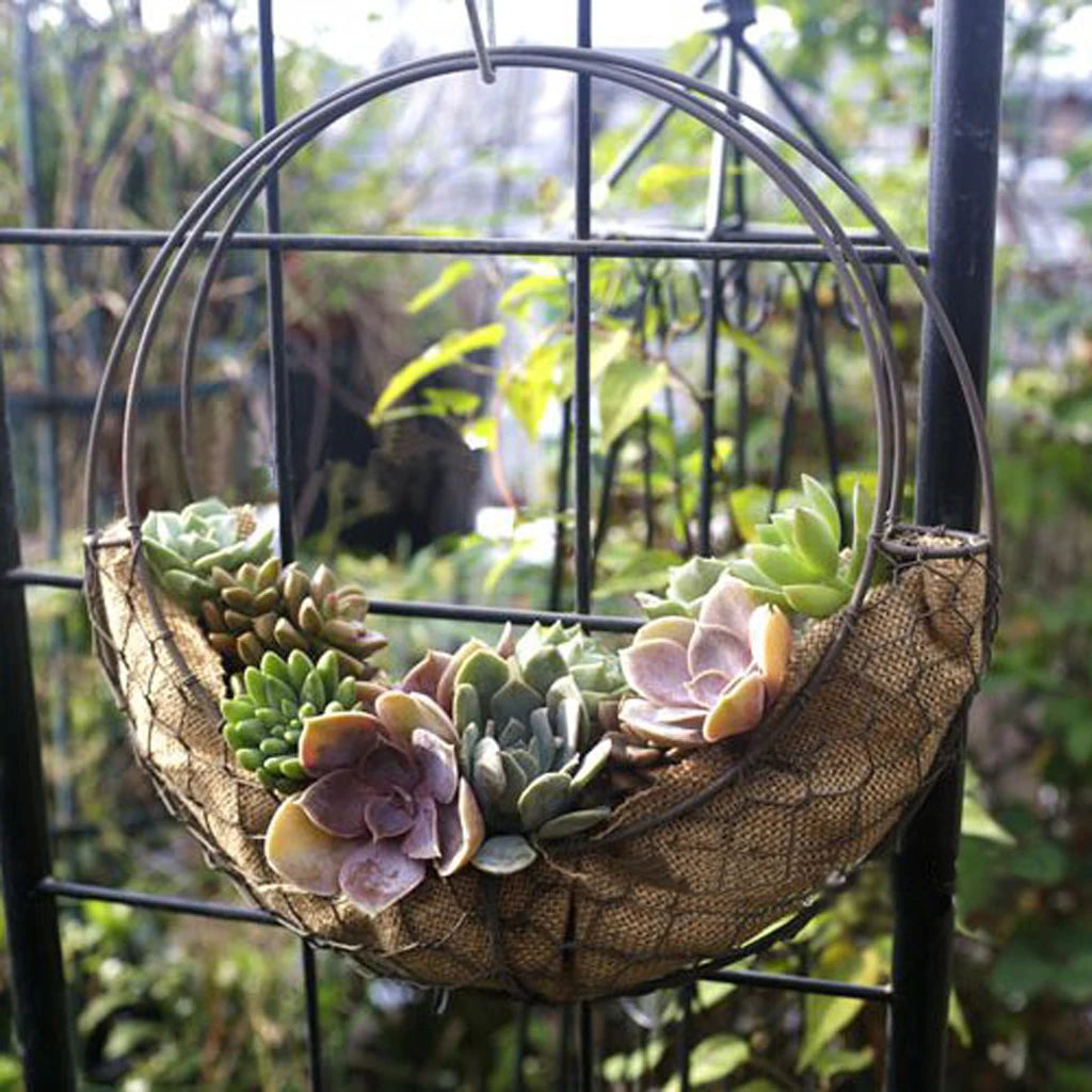 succulent wire wreath Moony Wire Wreath