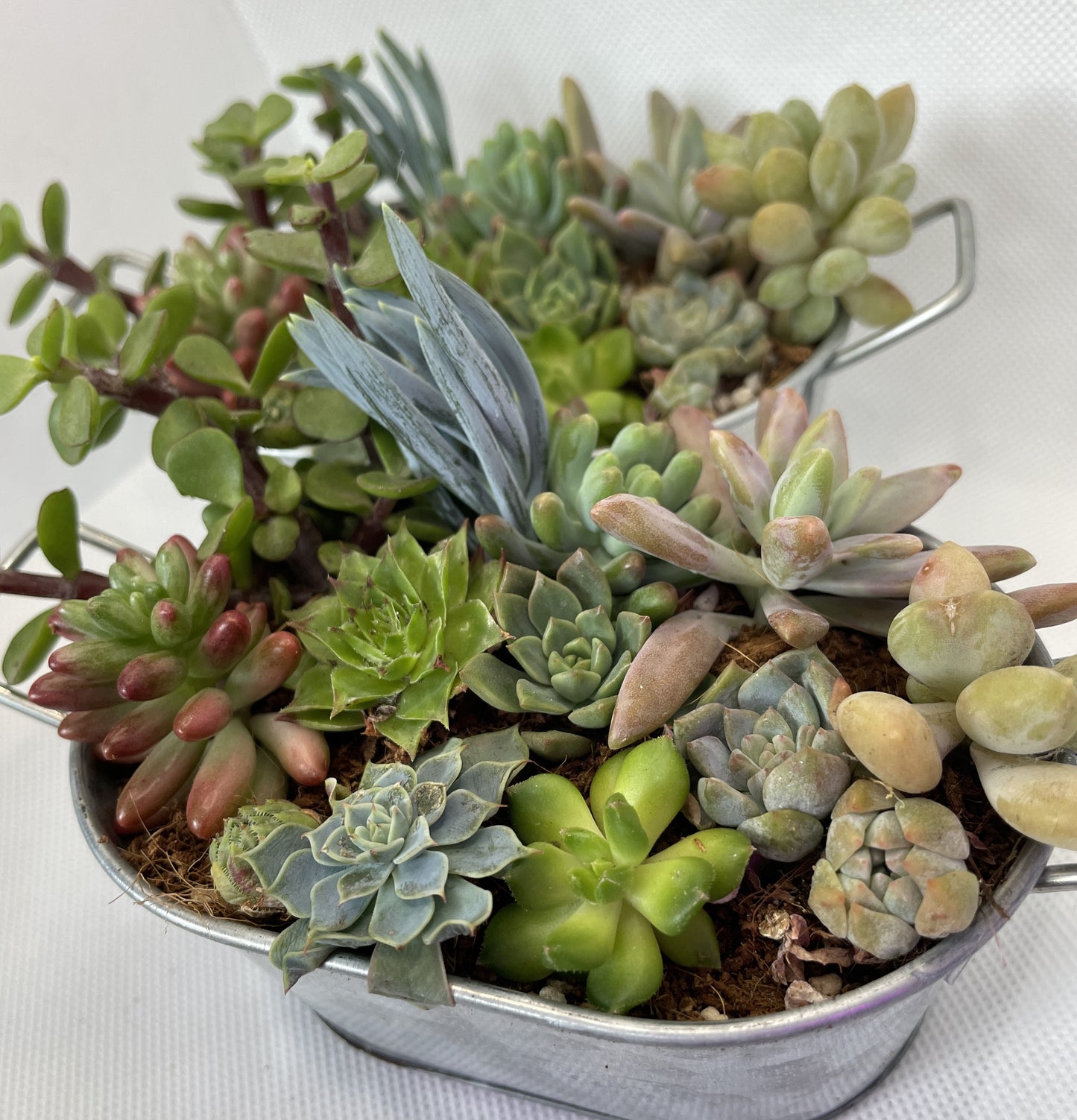 Metal Tub Arrangement