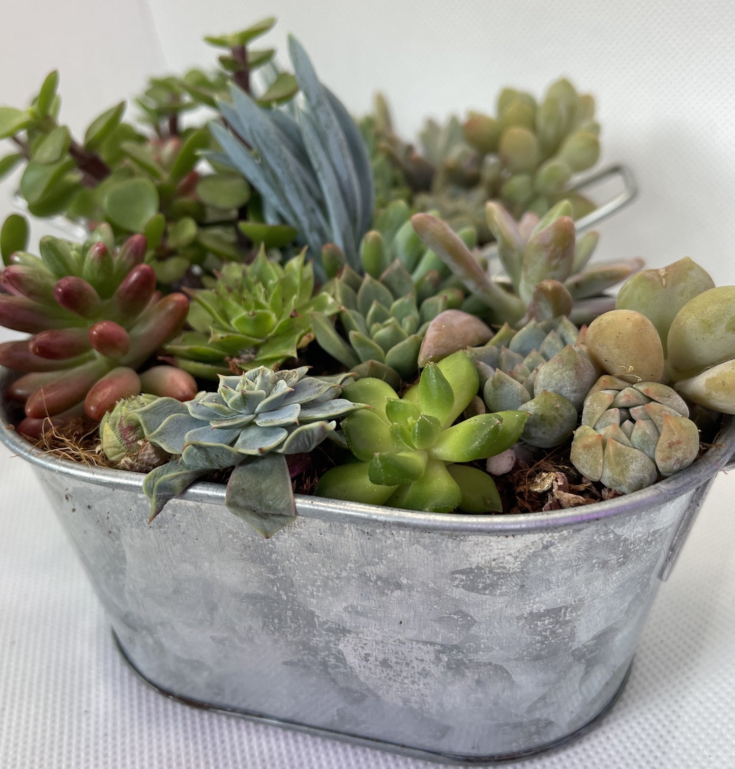 Metal Tub Arrangement