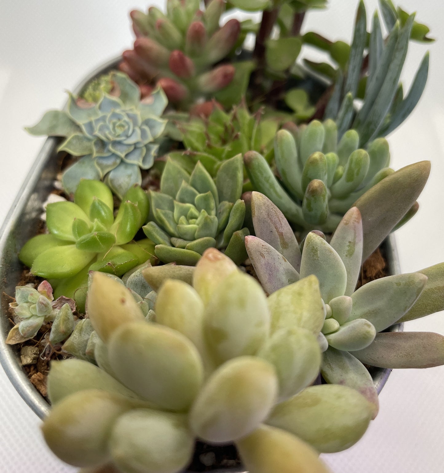 Metal Tub Arrangement