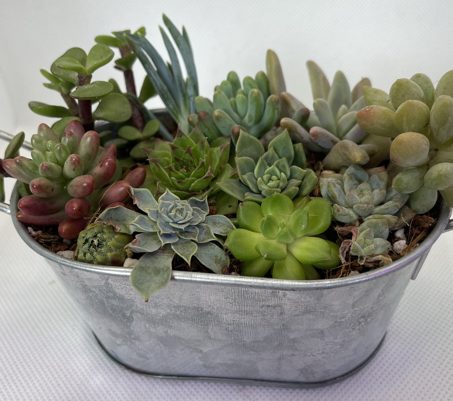 Metal Tub Arrangement