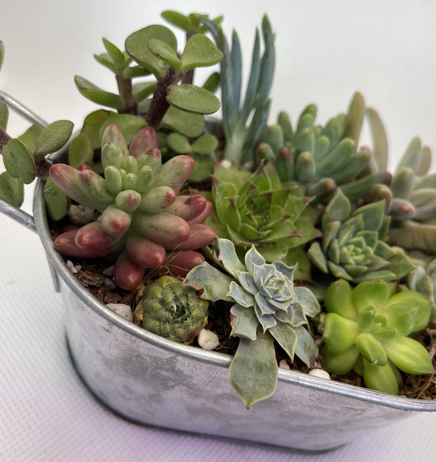 Metal Tub Arrangement